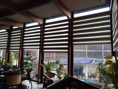 window blinds