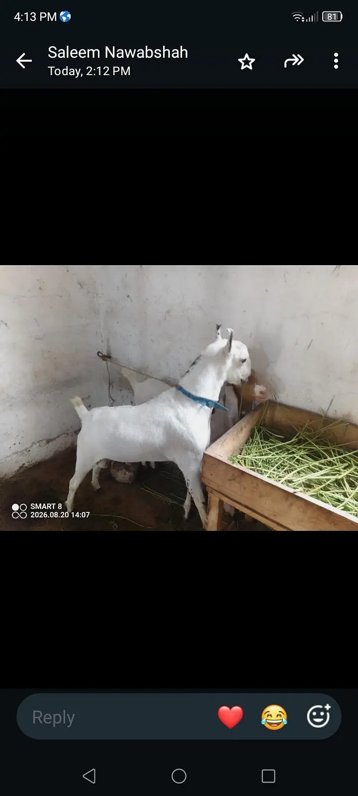 gulabi berbari tapri — photo 8