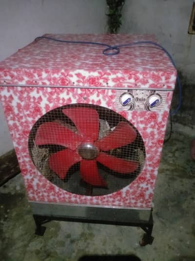 lahorii colar