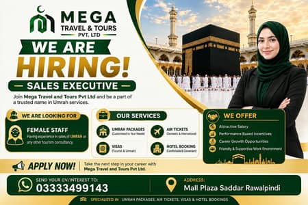 Sales Executive