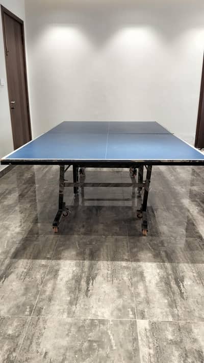 lasani table tennis ,table