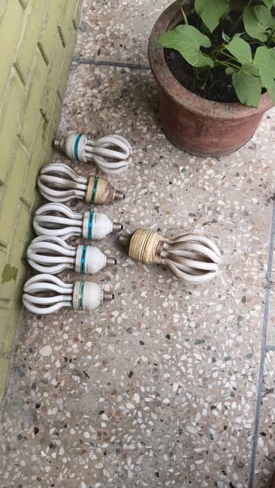 Energy Savers Bulbs 220 w
