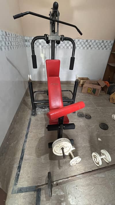 Apollo All in 1 weight lifting machine