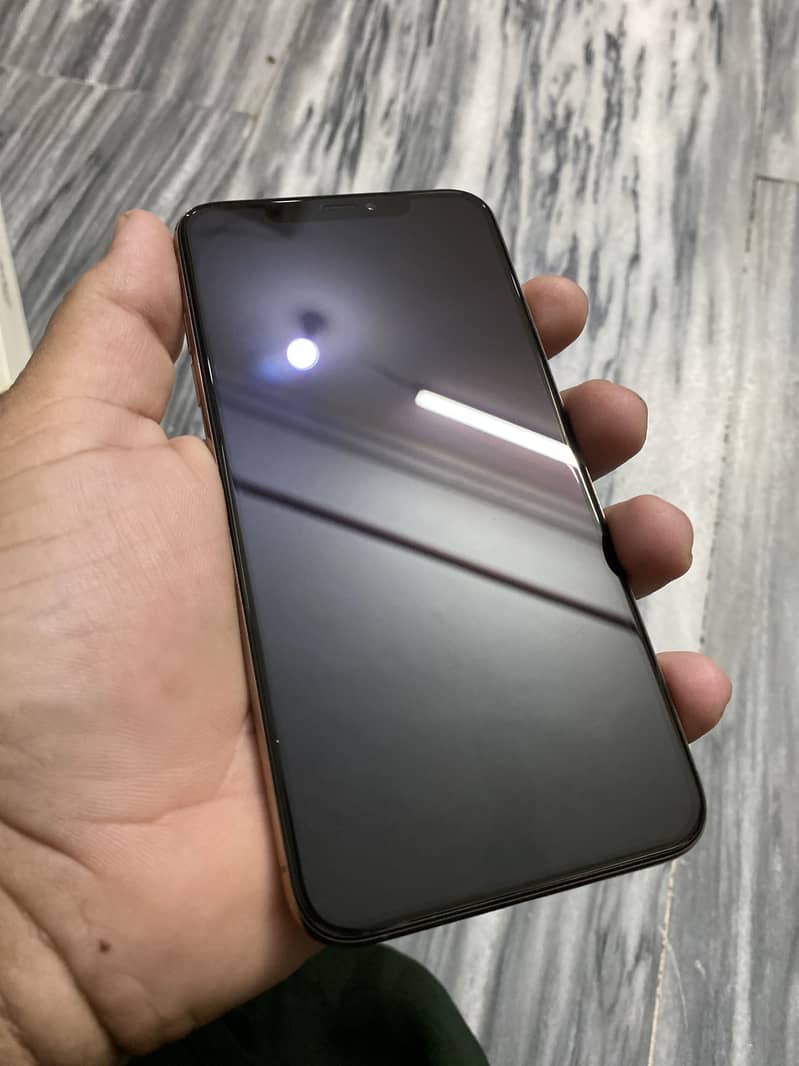 iPhone XS Max 12