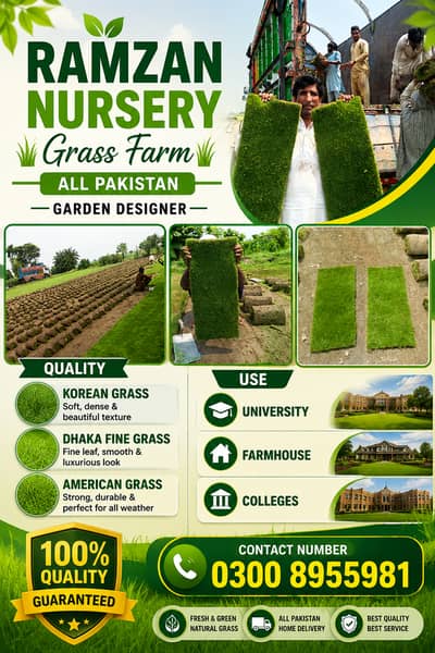 Natural Grass, Lawn Grass, Turf Grass, Garden Grass, Landscape Design