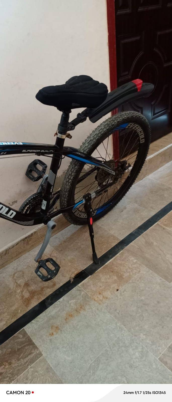 Evergold cycle good condition 2