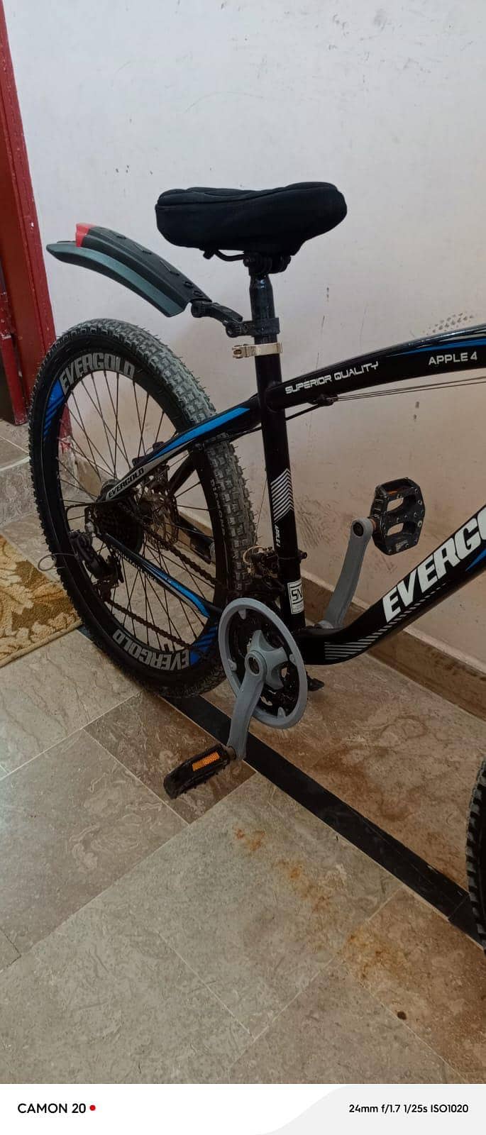 Evergold cycle good condition 5