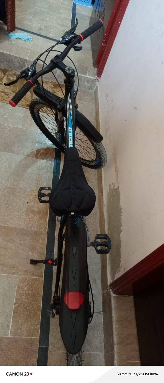 Evergold cycle good condition 7