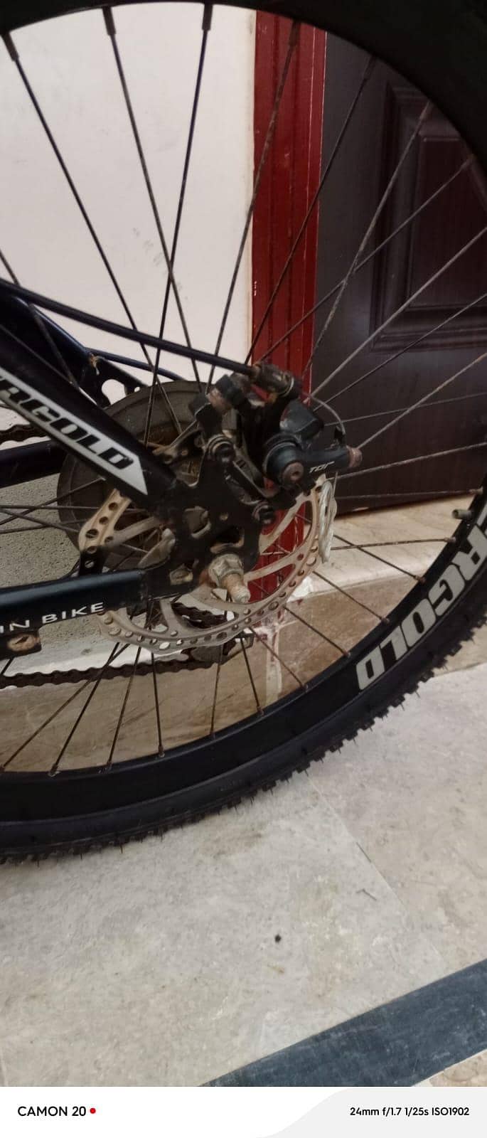 Evergold cycle good condition 9