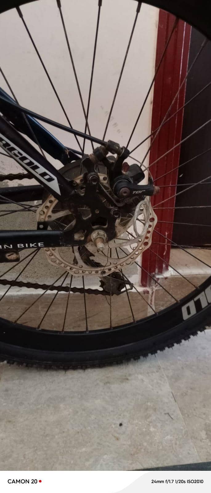 Evergold cycle good condition 10
