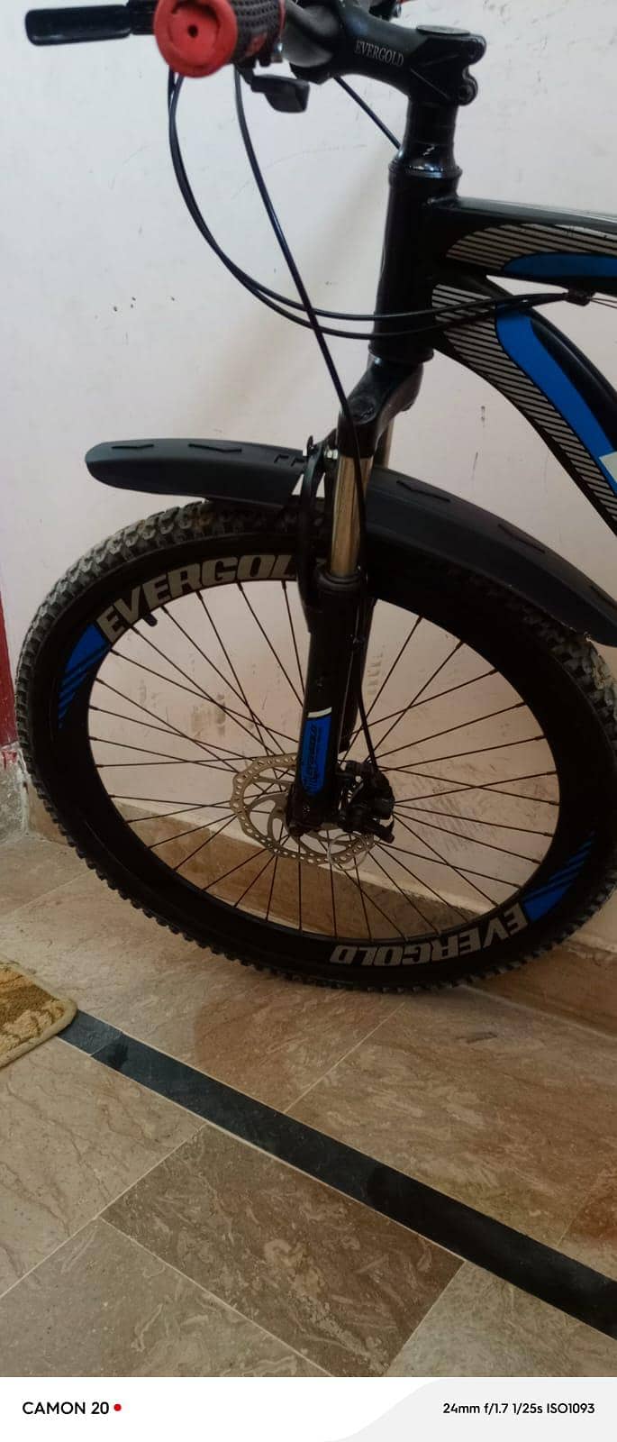Evergold cycle good condition 11