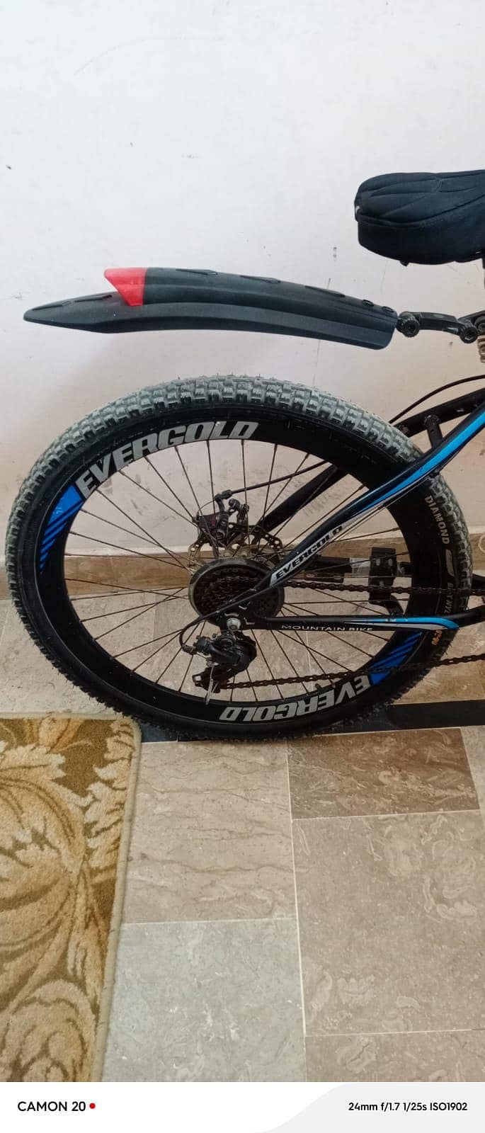 Evergold cycle good condition 12