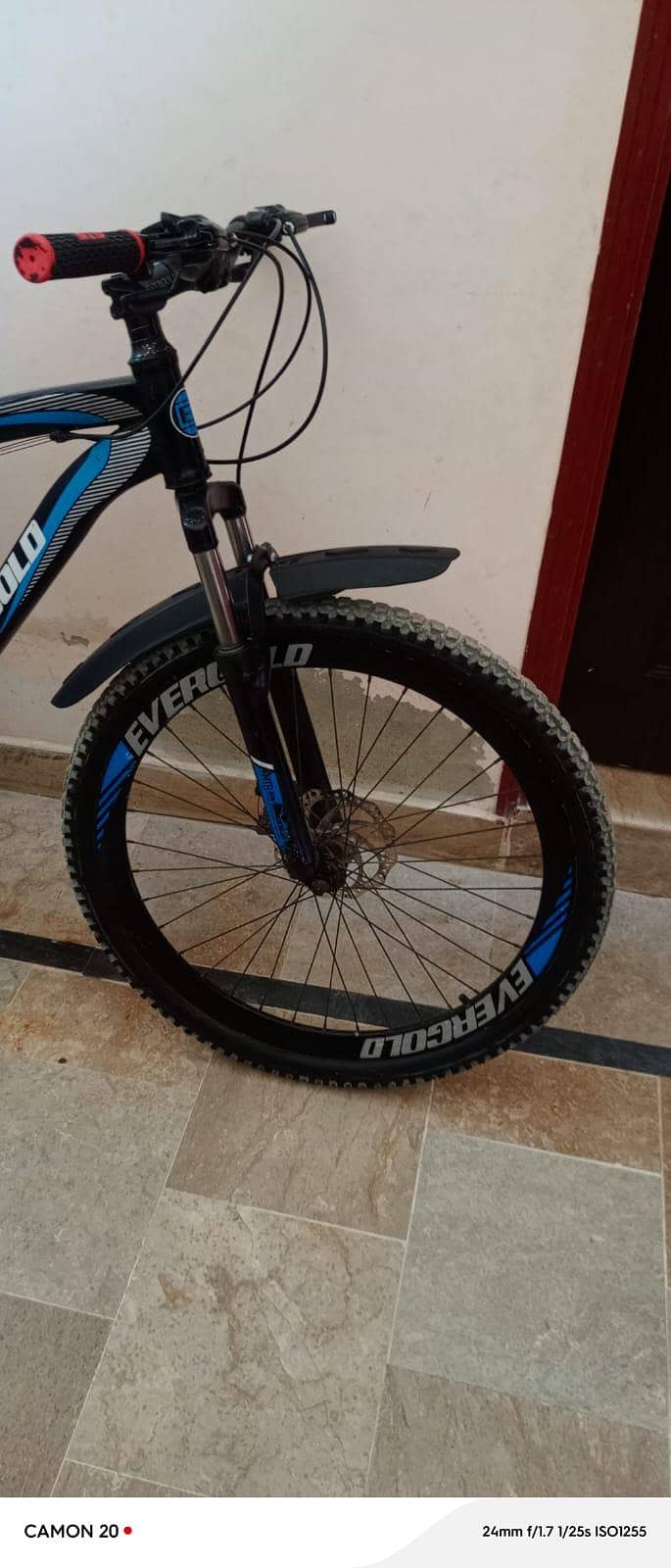 Evergold cycle good condition 13