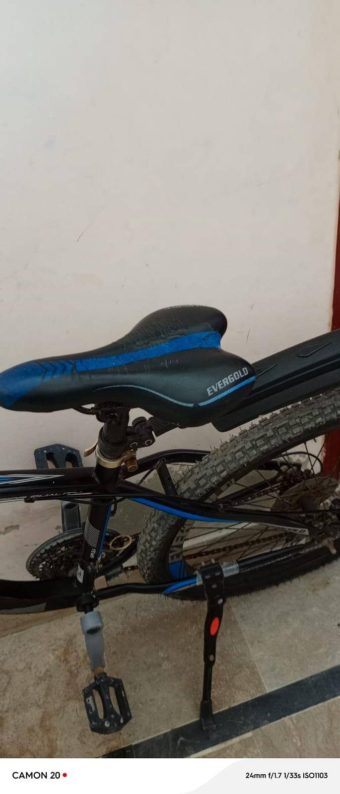 Evergold cycle good condition 15