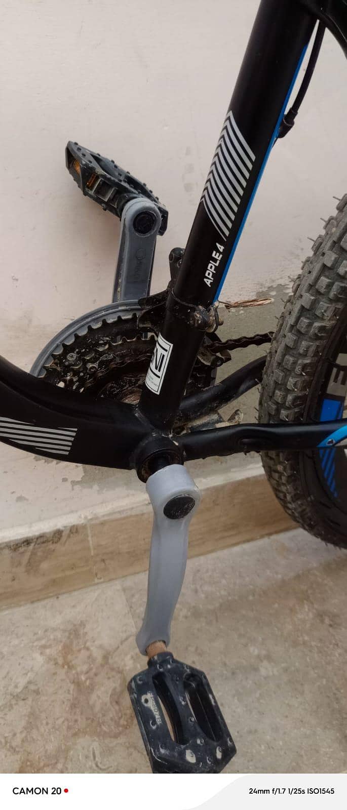 Evergold cycle good condition 16
