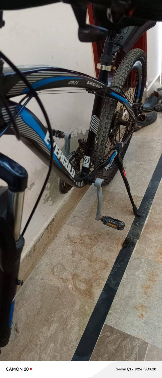 Evergold cycle good condition 17