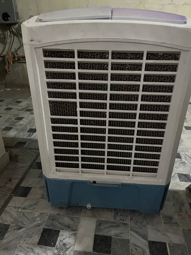 Large size cooler 3
