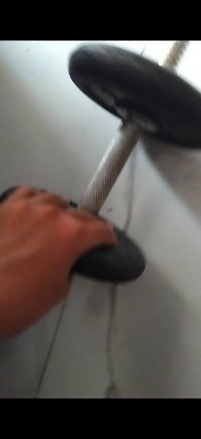 Home Exercise Dumbles