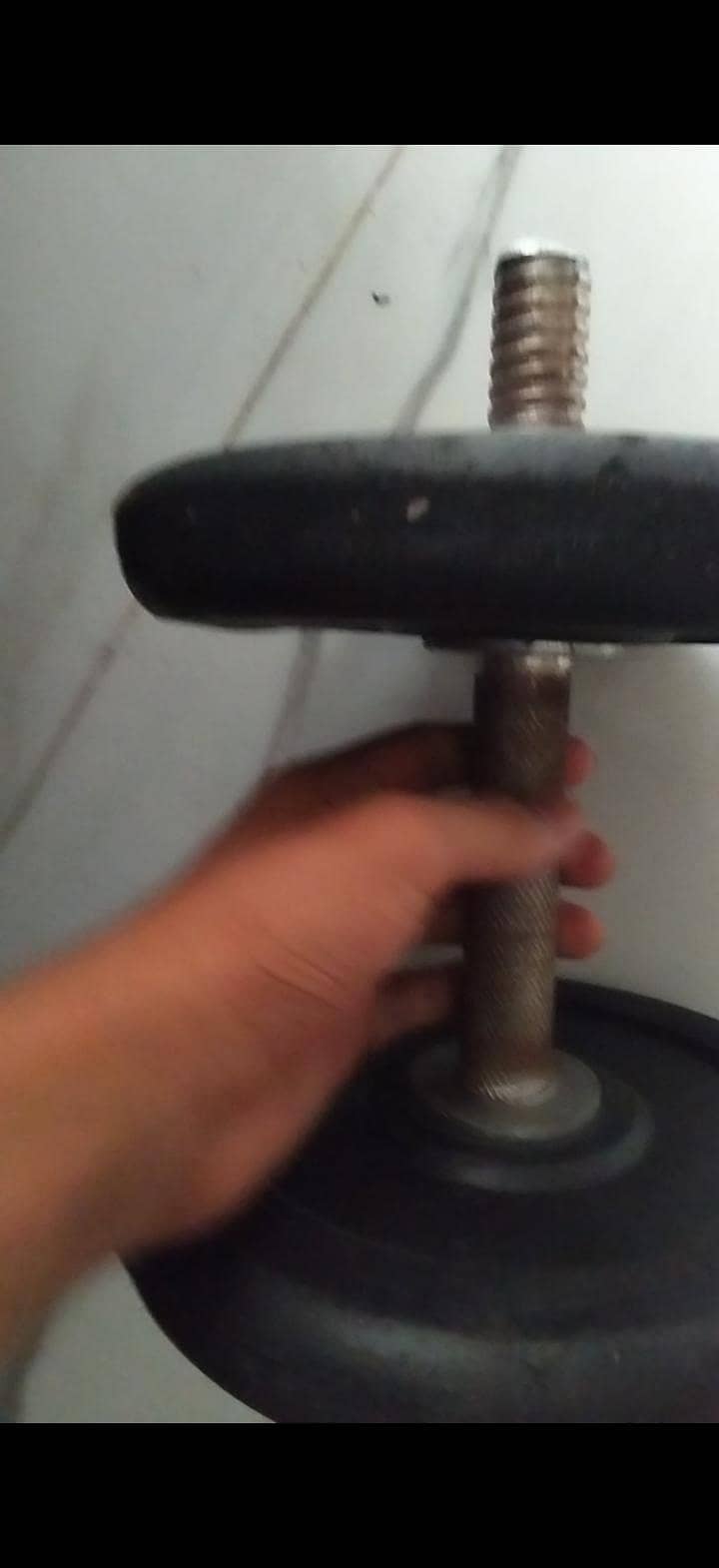 Home Exercise Dumbles 1