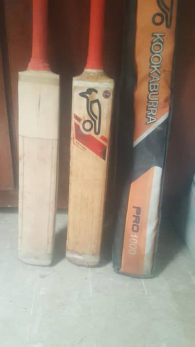 Ahsan plain bat and kukabura Pro 1000 English Willow bats