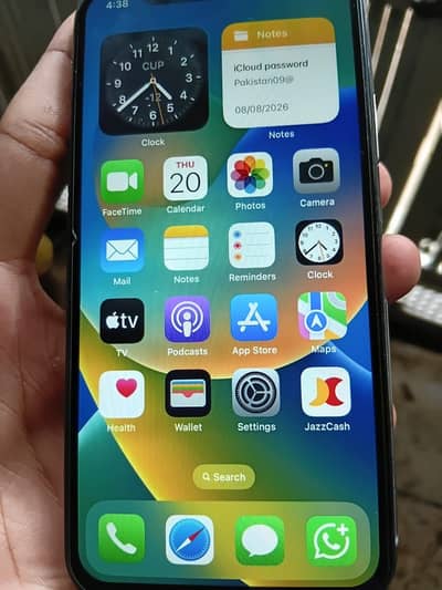 Apple iPhone X