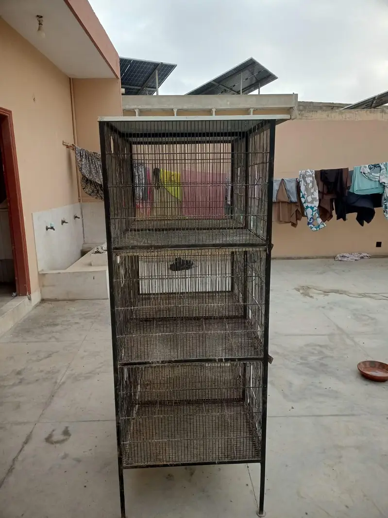 Galvanized wire cage available — photo 3