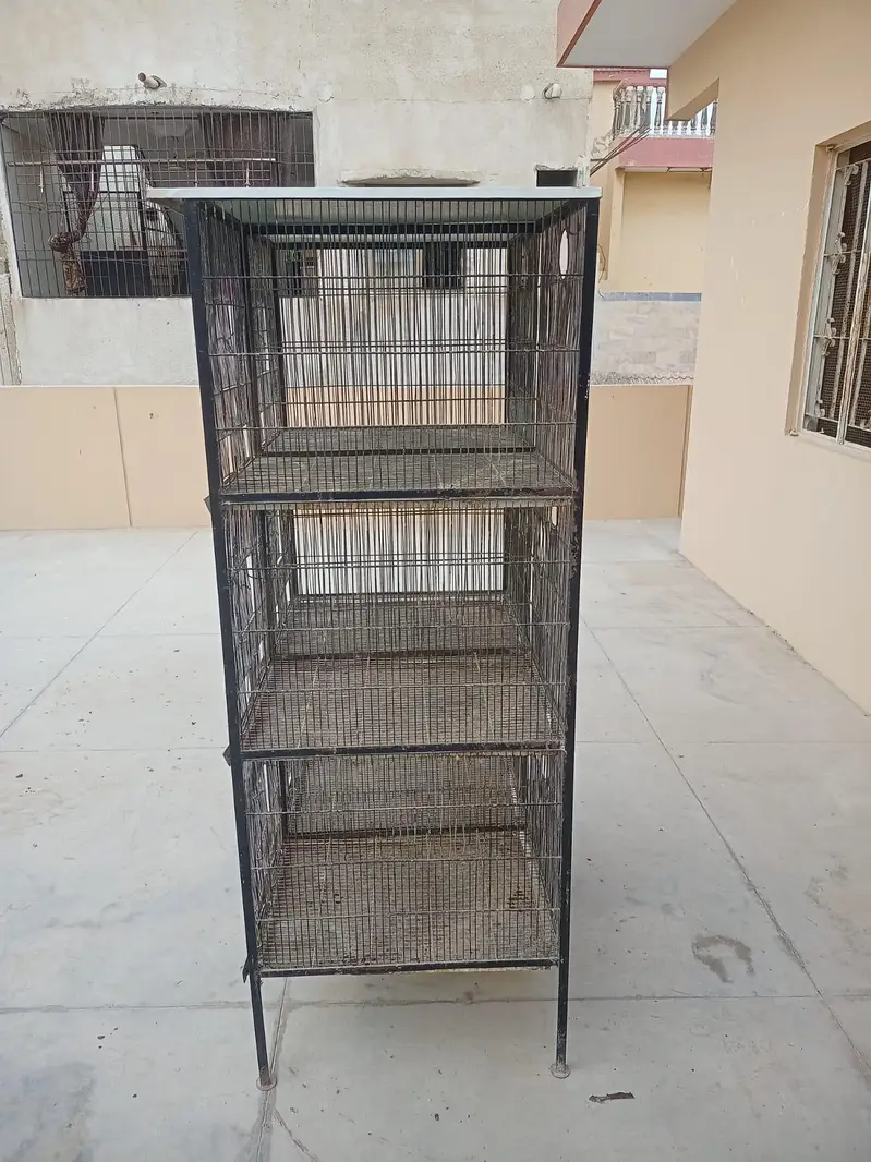 Galvanized wire cage available — photo 4