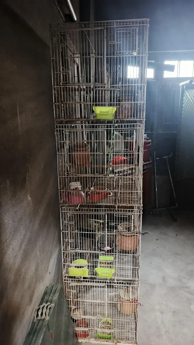 4 box 1 box size 3×2.50 — photo 2