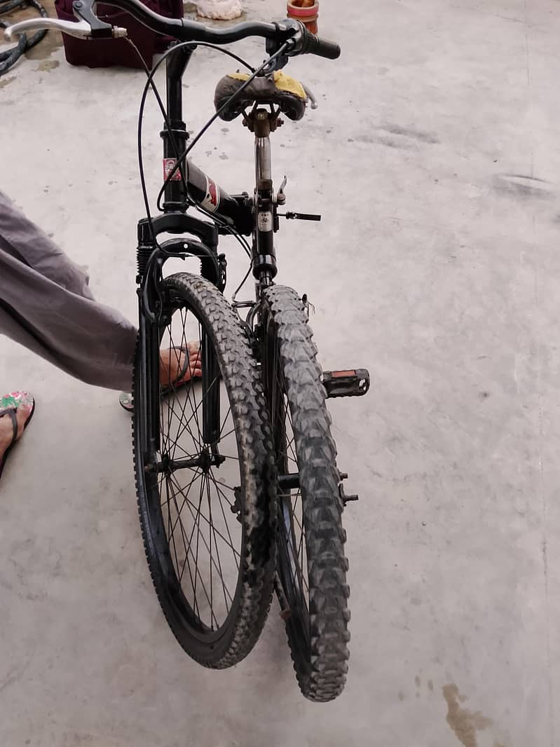 mountain bicycle 1