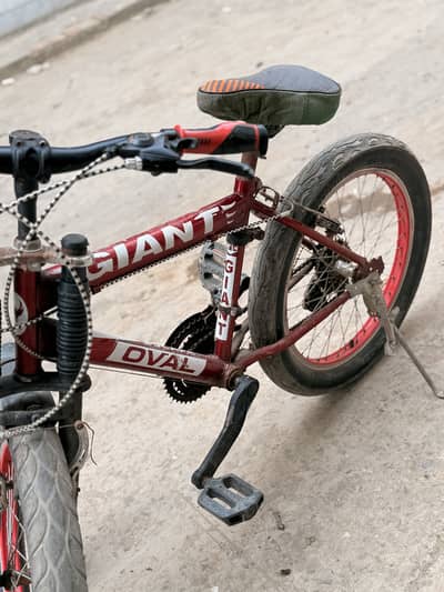 Giant company cycle for sale