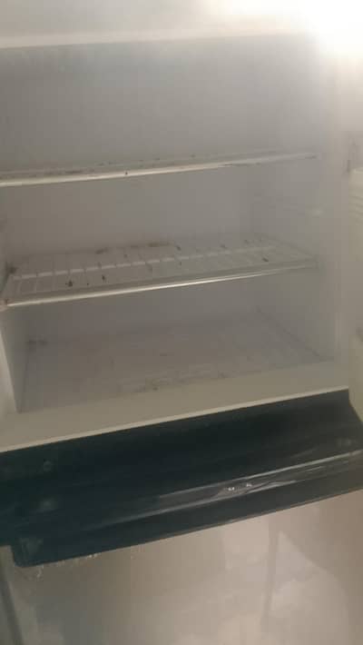 orient fridge full size