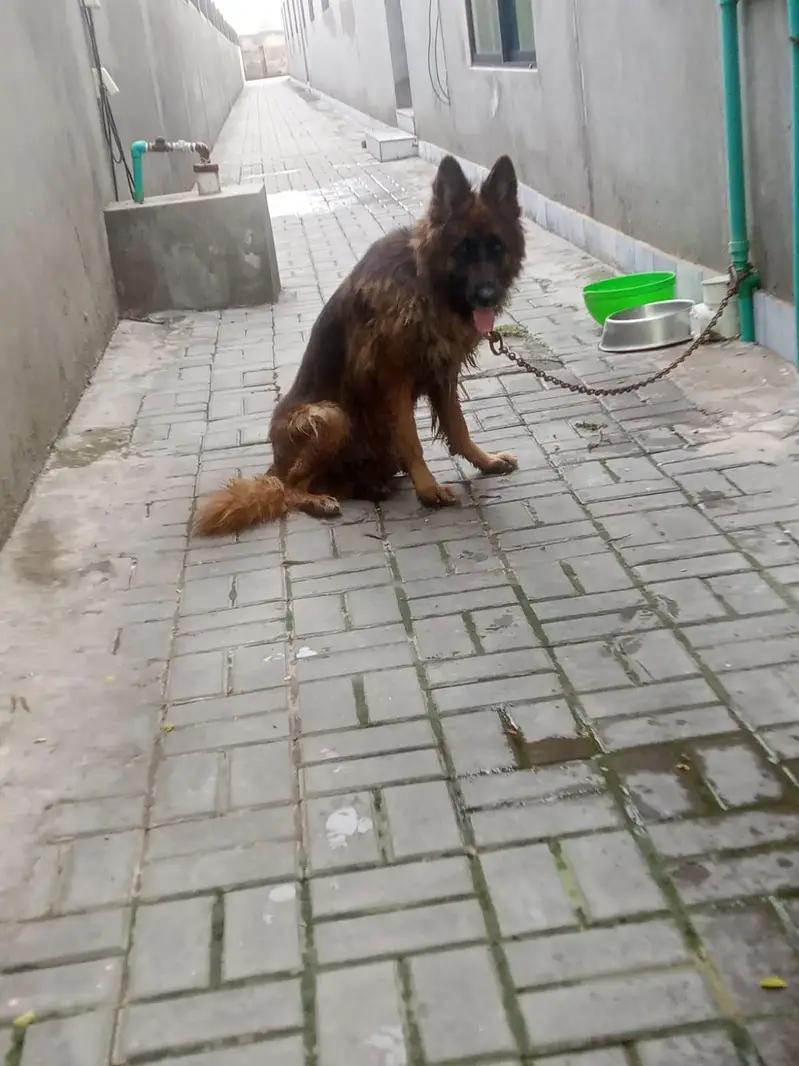 11 month ka ha — photo 3