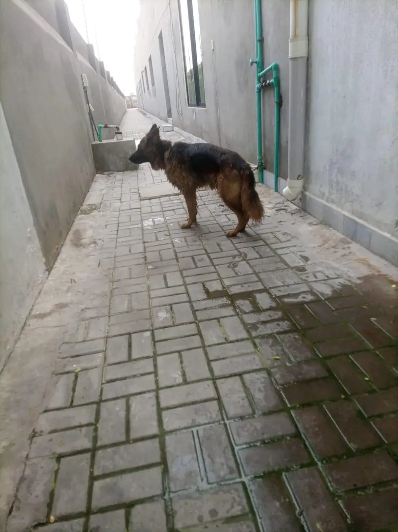 11 month ka ha — photo 4
