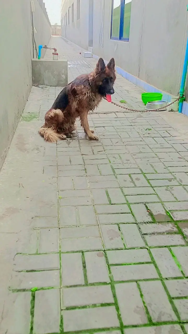 11 month ka ha — photo 5