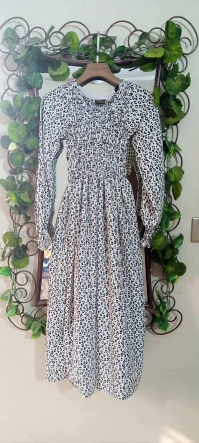 western maxy stock for sale
