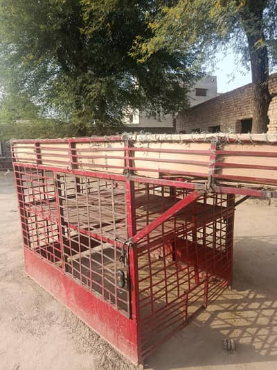 loder rakhsha ka jangla