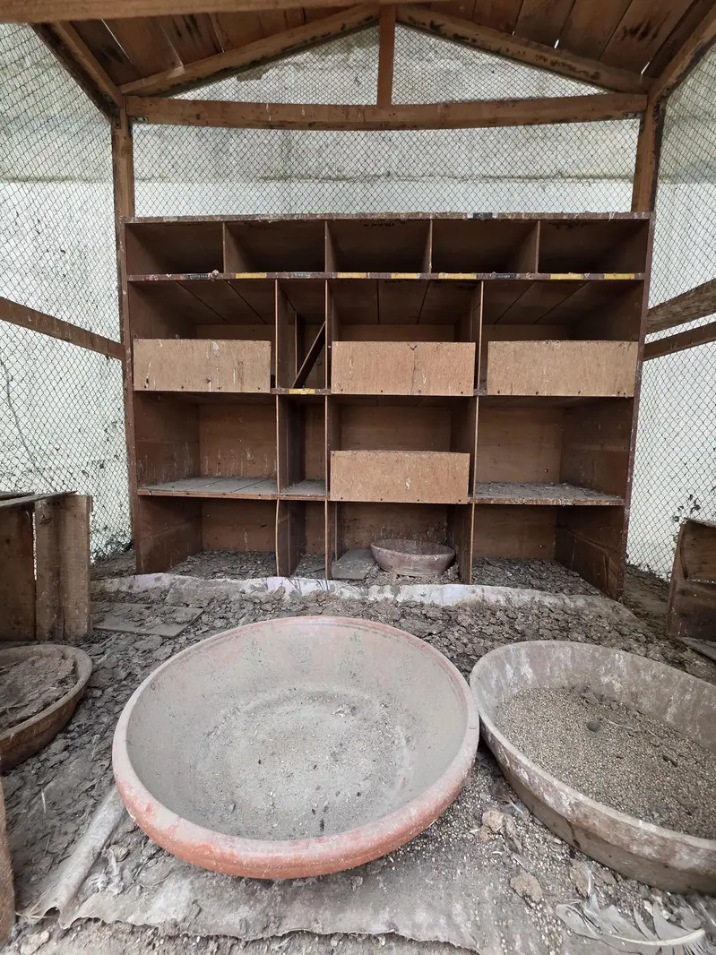 WOODEN CAGE — photo 7