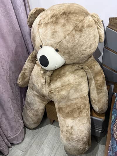 Imported Teddy Bear Full Size