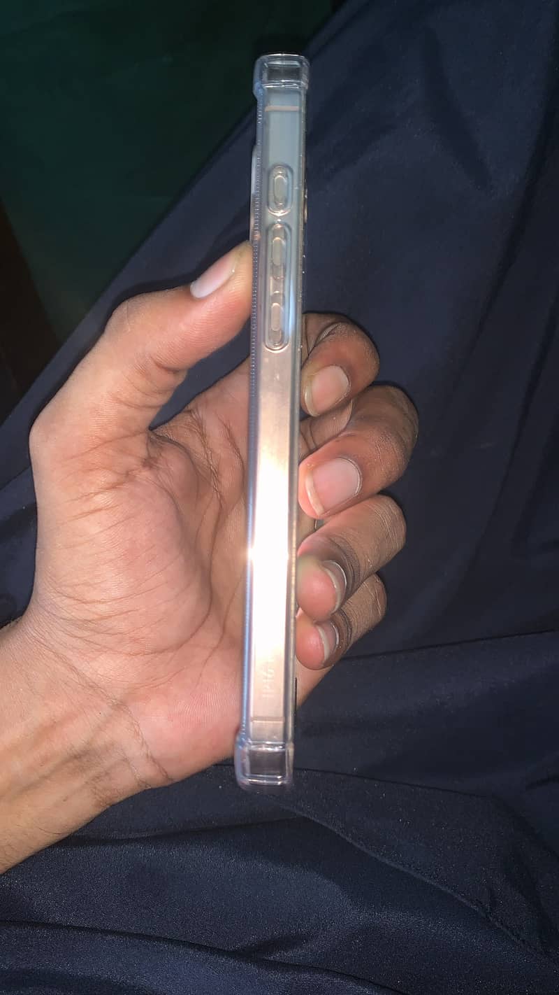 Apple iPhone 16 Pro Max 1
