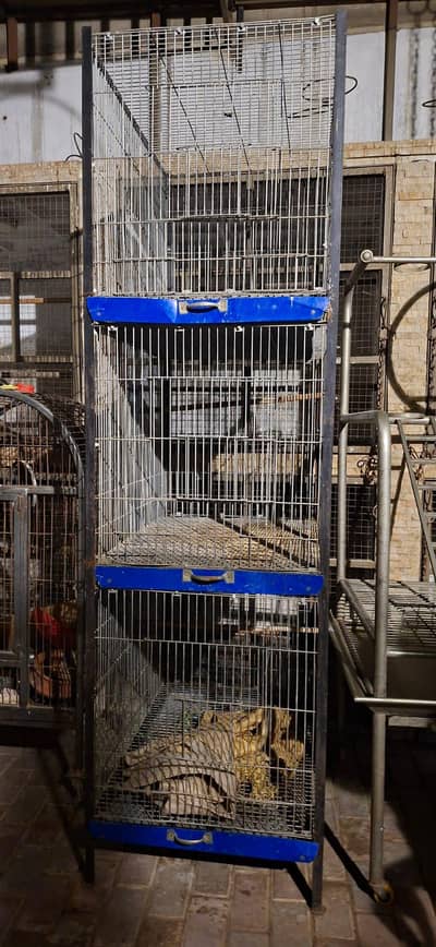 Bird cages pack of 2