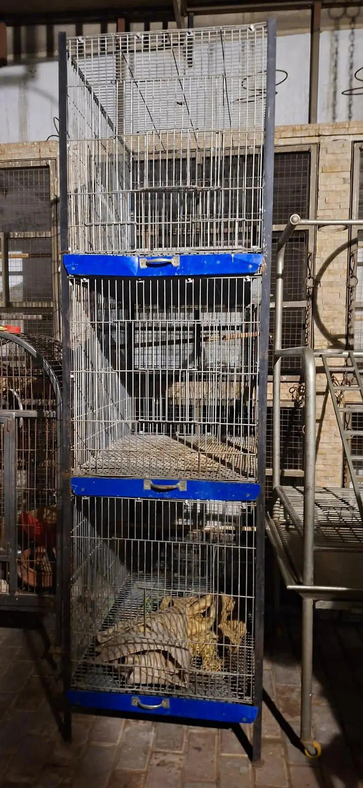 Bird cages pack of 2 — photo 2