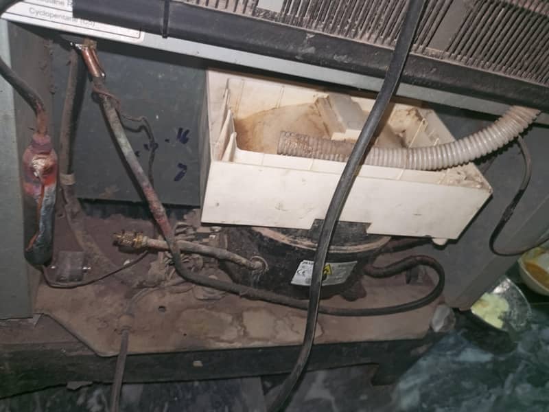 Haier 2016 model fridge 4