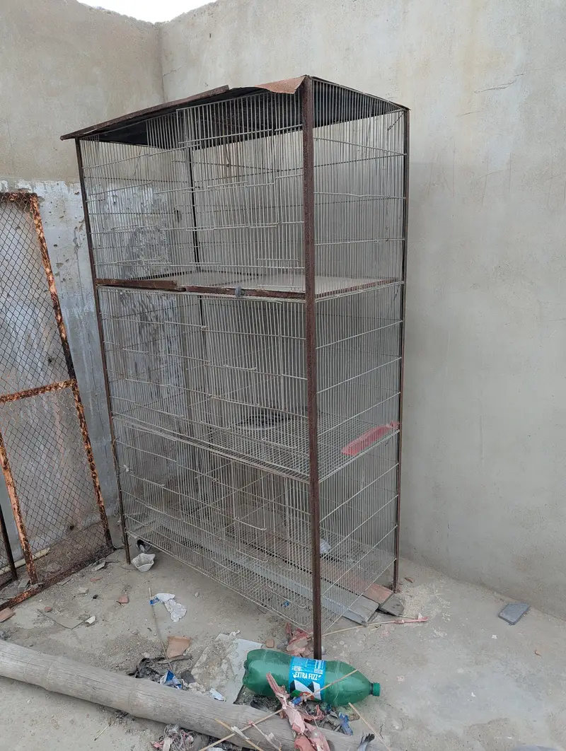 cage for sale — photo 4