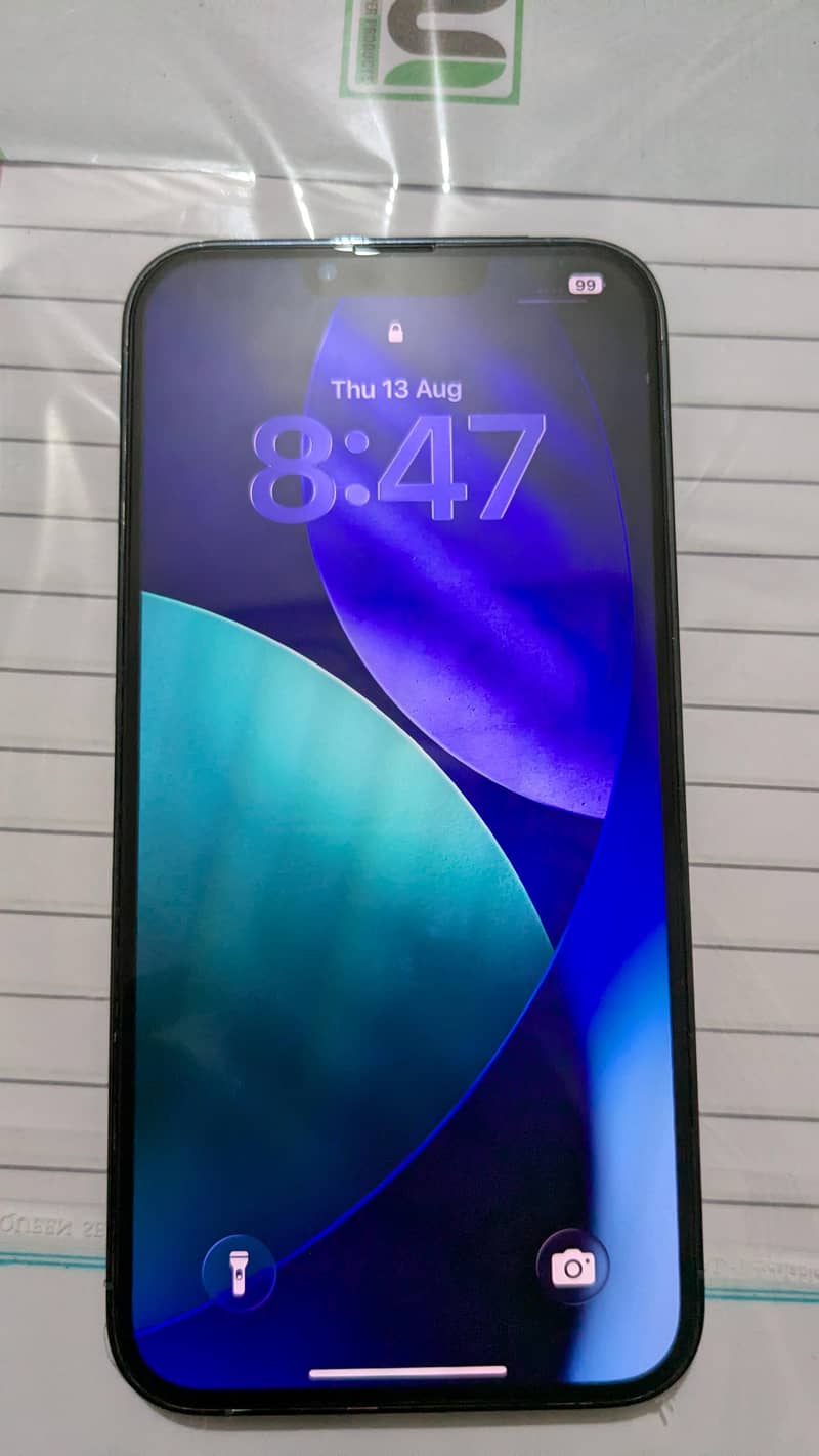 Apple iPhone 13 Pro Max 1