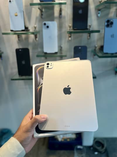 iPad m5 pro 256 gb condition 10/10 battery health 99 price 270k