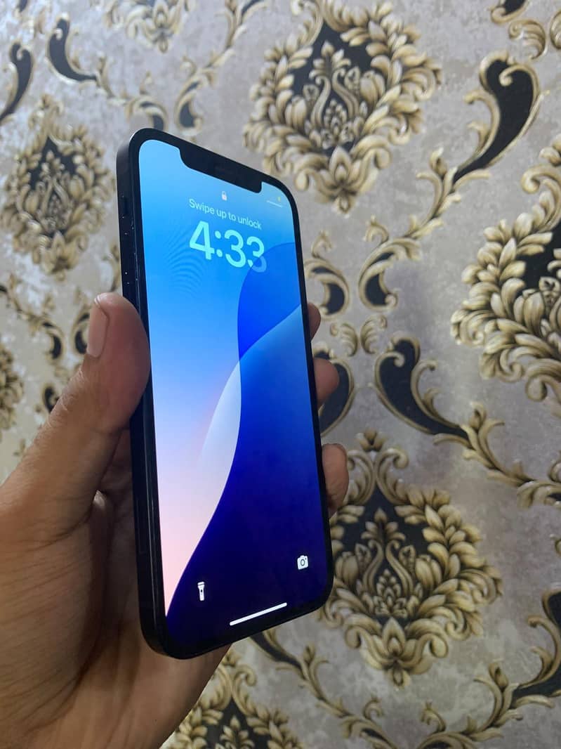 Apple iPhone 12 1