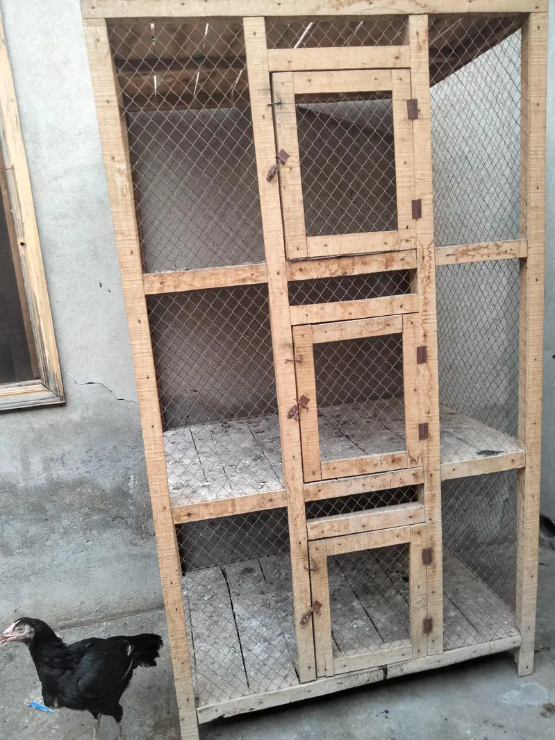 3 portion hens cage for sale — photo 2