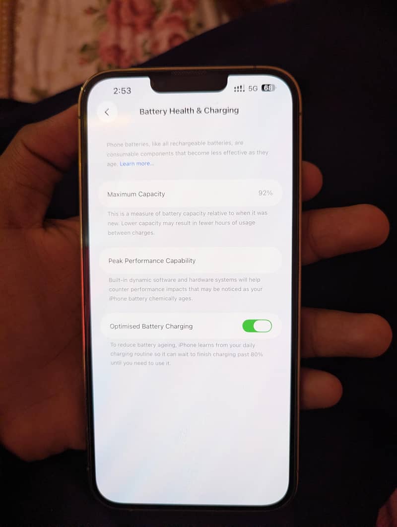 Apple iPhone 13 Pro Max 3