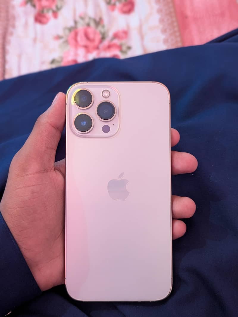 Apple iPhone 13 Pro Max 9