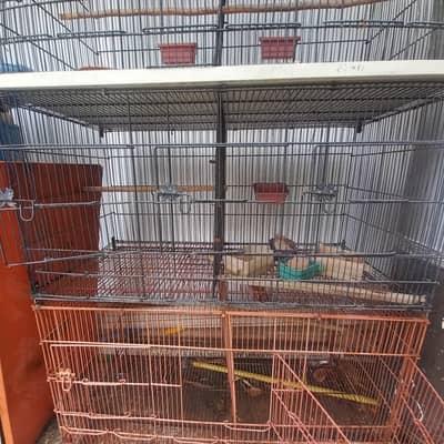 Brids Cage for Sale 6 × 3 portion for Budgies Finch Love Brird Java